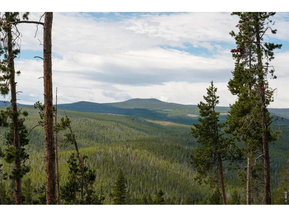 410 Pearl Creek Road Red Feather Lakes, CO 80545