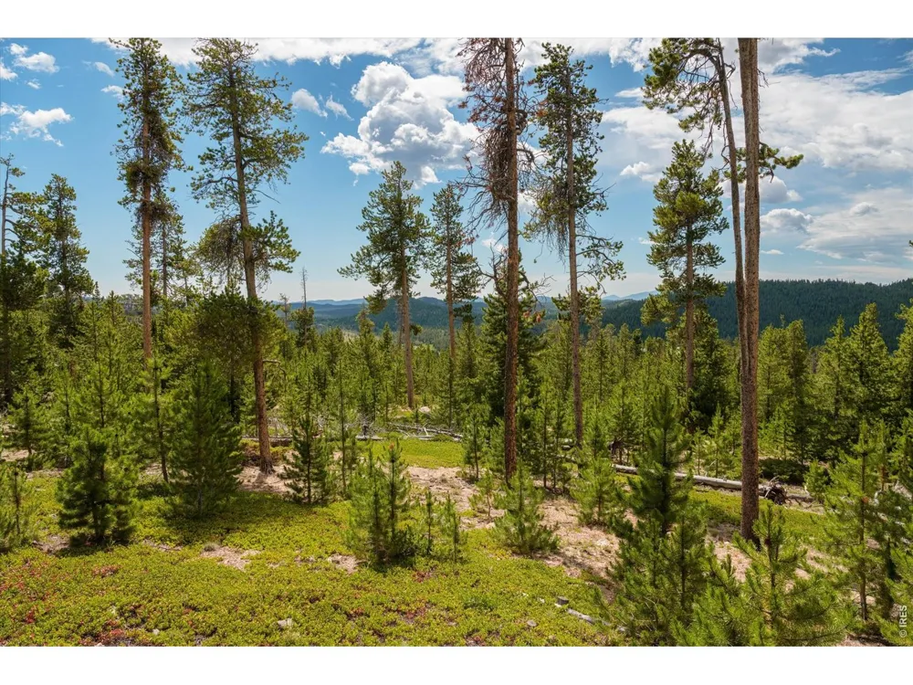 410 Pearl Creek Road Red Feather Lakes, CO 80545