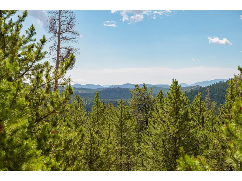 410 Pearl Creek Road Red Feather Lakes, CO 80545