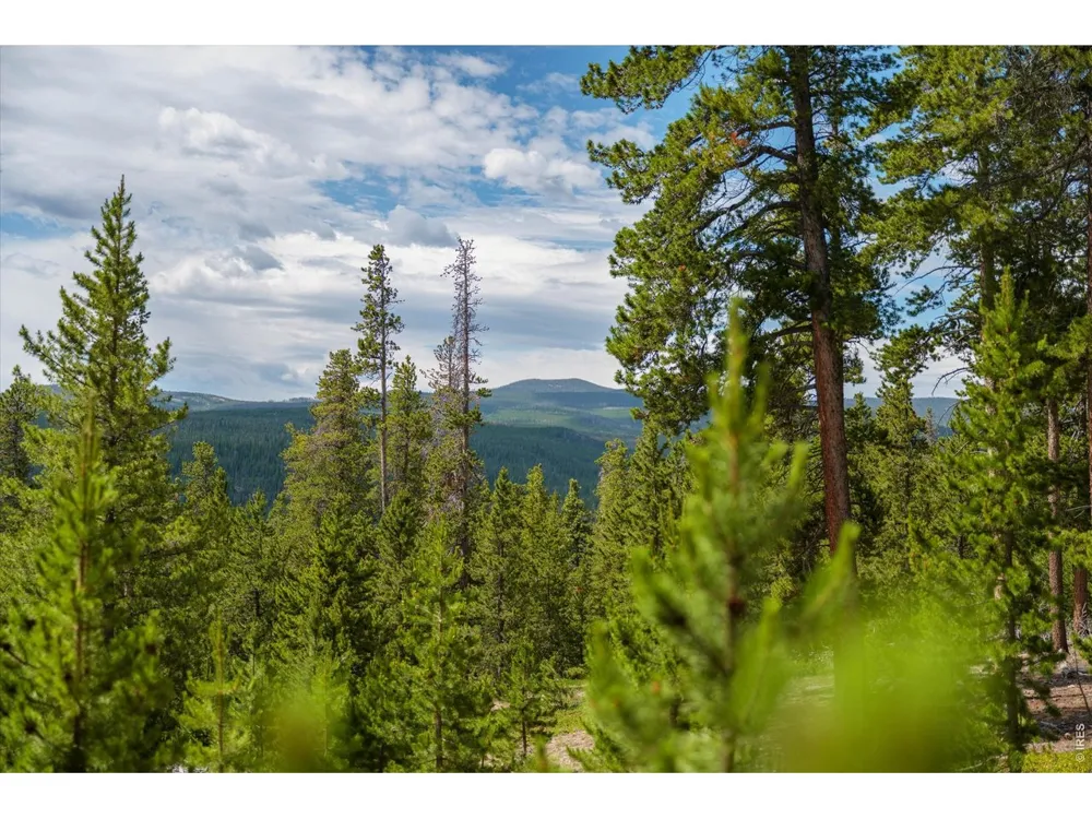 410 Pearl Creek Road Red Feather Lakes, CO 80545