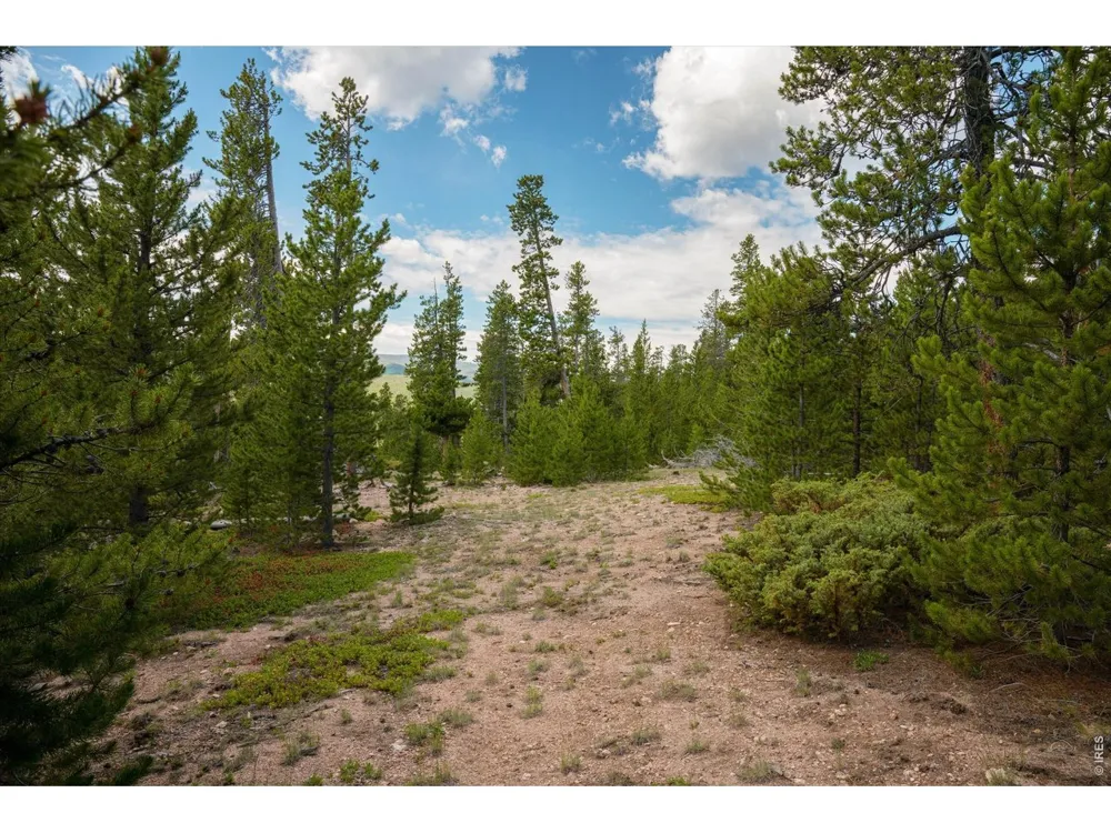 410 Pearl Creek Road Red Feather Lakes, CO 80545