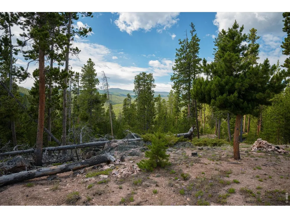 410 Pearl Creek Road Red Feather Lakes, CO 80545