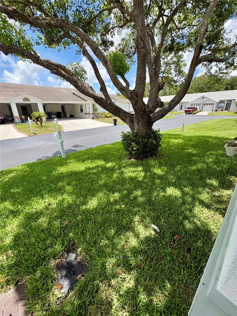 9221 ESTRADA PLACE New Port Richey, FL 34655