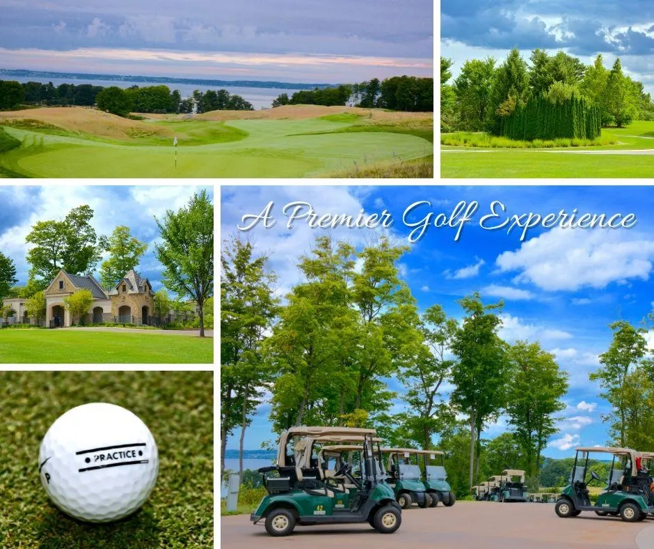4162 Dornoch Court Acme Township, MI 49690