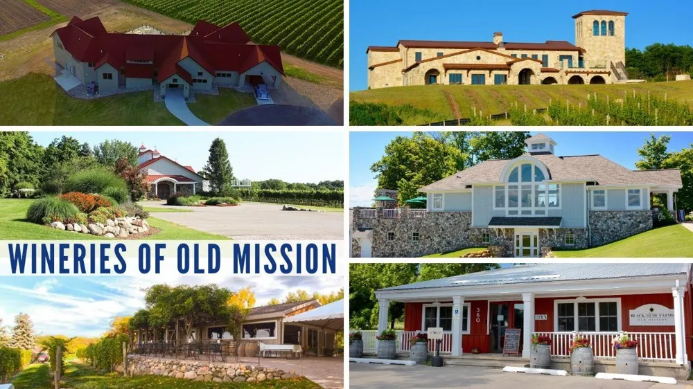 4162 Dornoch Court Acme Township, MI 49690