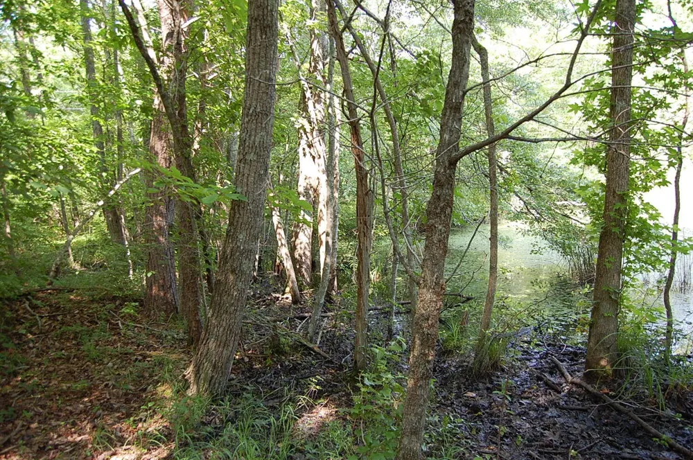 57 Hugh Allison Road Pikeville, TN 37367