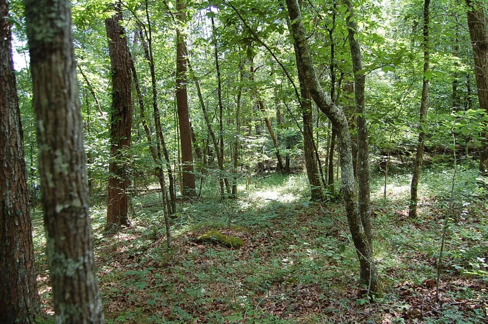 57 Hugh Allison Road Pikeville, TN 37367