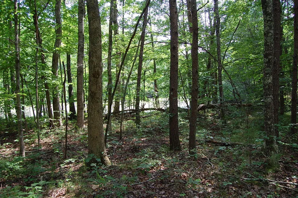 57 Hugh Allison Road Pikeville, TN 37367