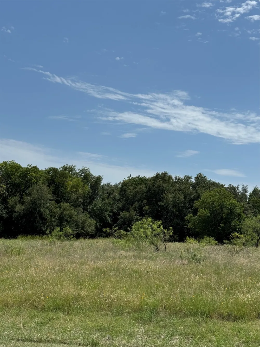 1116 Lakeside Trail Whitney, TX 76692