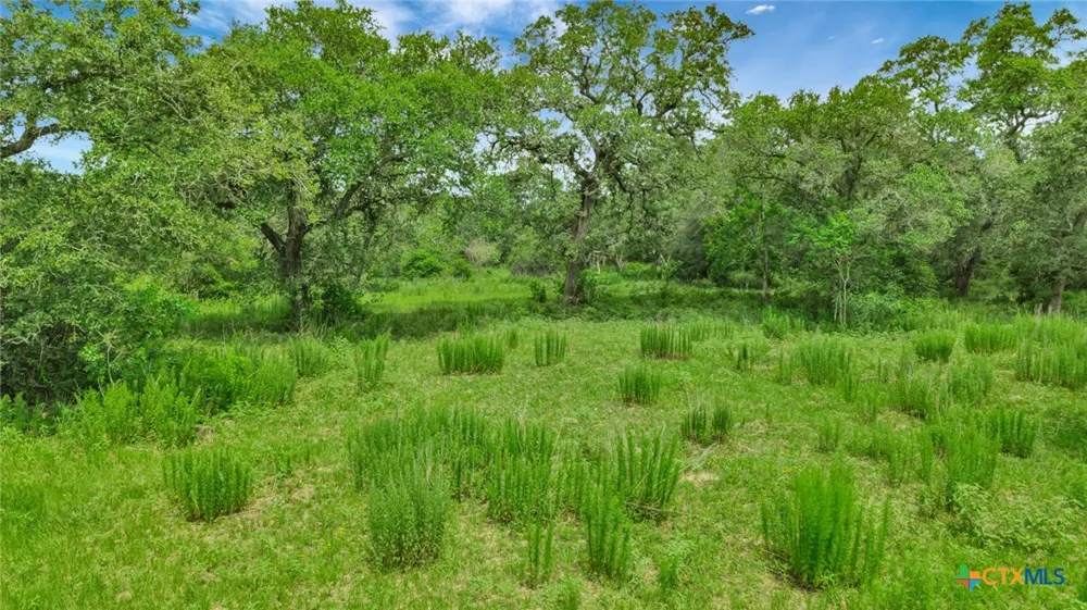 Fm 444 Inez, TX 77968