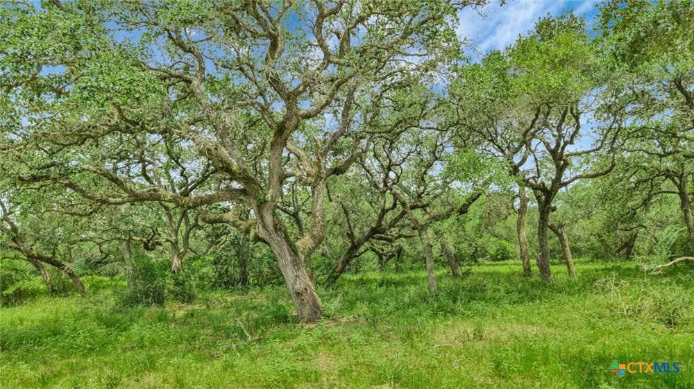 Fm 444 Inez, TX 77968