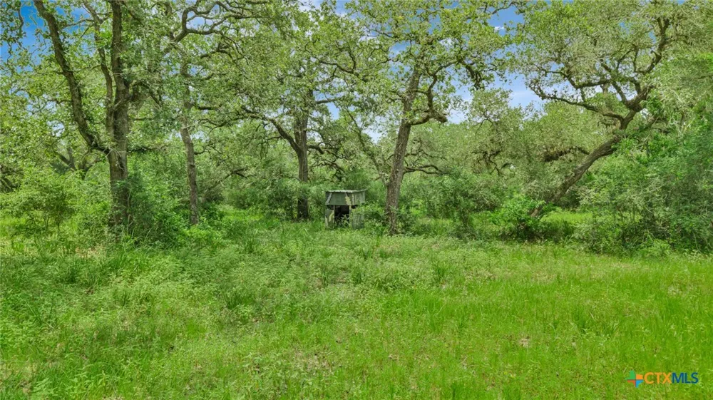 Fm 444 Inez, TX 77968