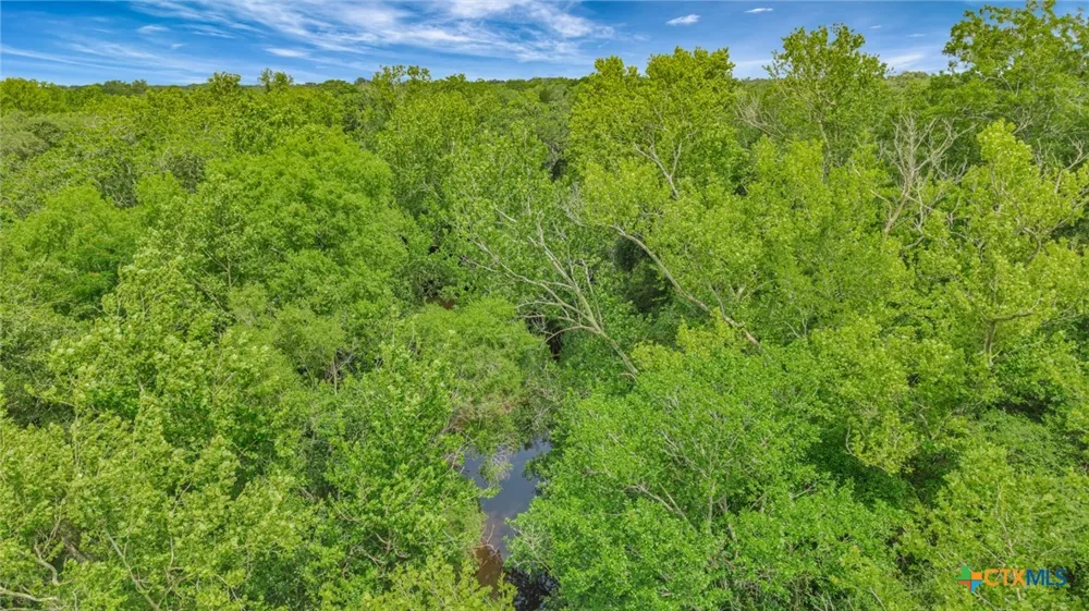 Fm 444 Inez, TX 77968