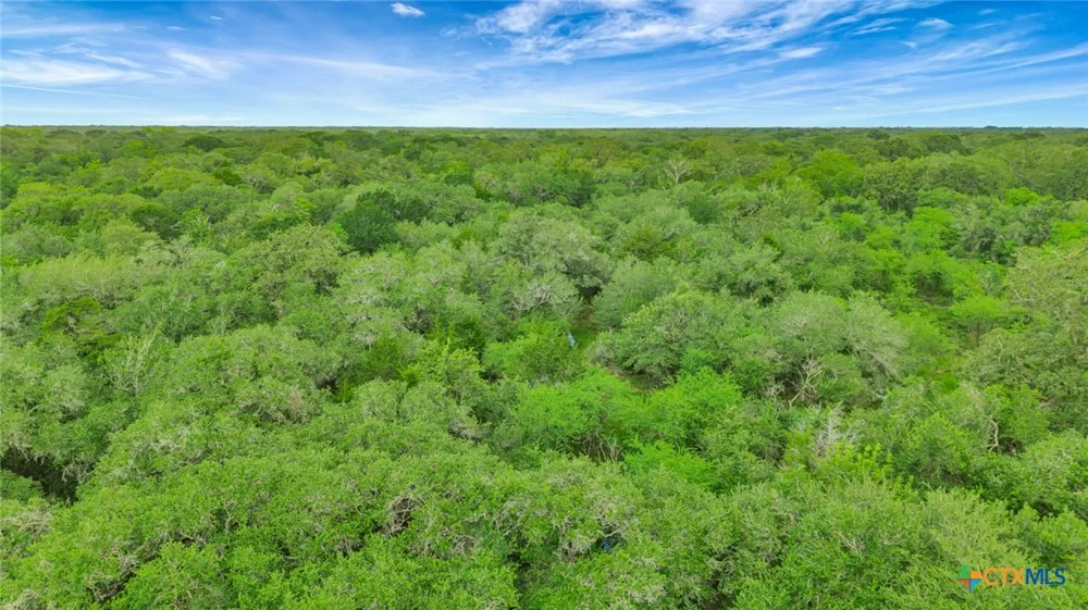 Fm 444 Inez, TX 77968