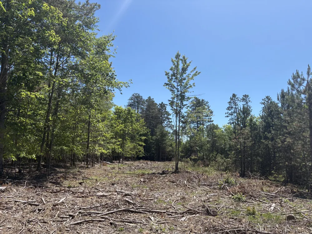 791 Butwell Road Bear Lake, MI 49614