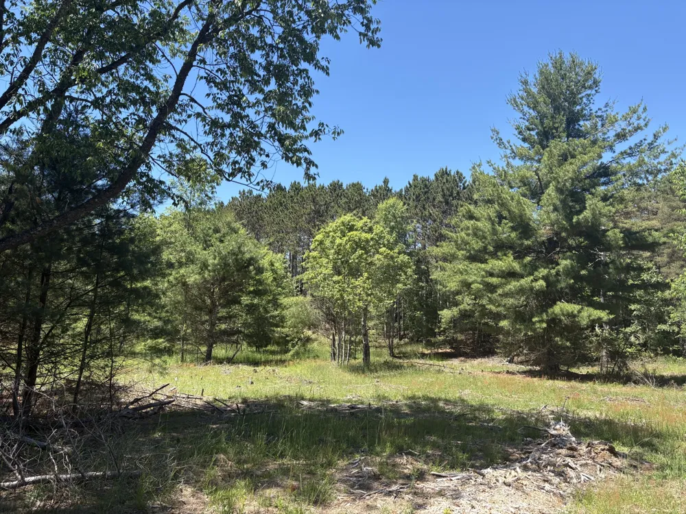 791 Butwell Road Bear Lake, MI 49614