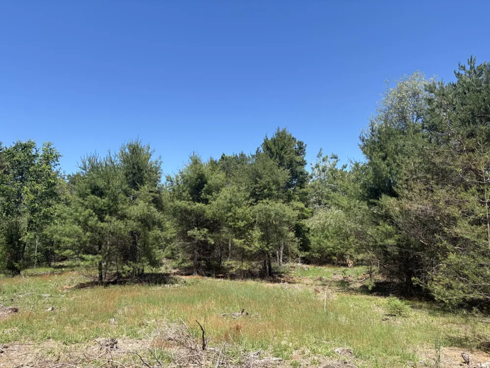 791 Butwell Road Bear Lake, MI 49614