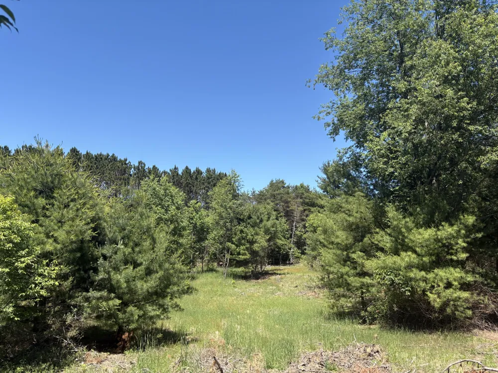 791 Butwell Road Bear Lake, MI 49614