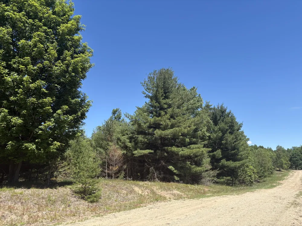 791 Butwell Road Bear Lake, MI 49614