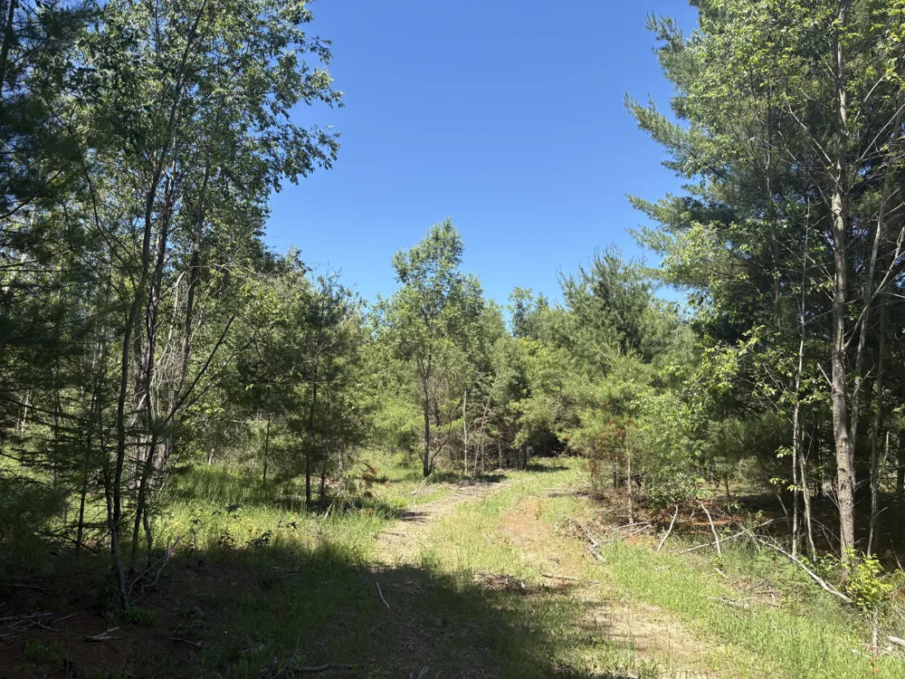 791 Butwell Road Bear Lake, MI 49614