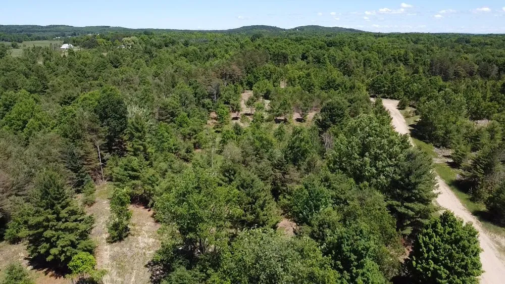 791 Butwell Road Bear Lake, MI 49614