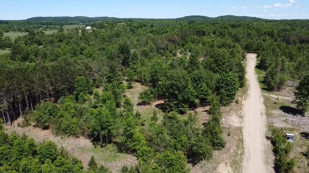 791 Butwell Road Bear Lake, MI 49614