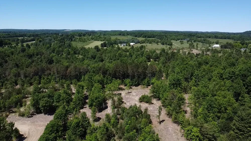 791 Butwell Road Bear Lake, MI 49614