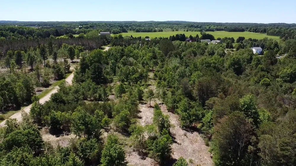 791 Butwell Road Bear Lake, MI 49614