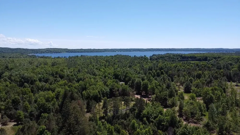 791 Butwell Road Bear Lake, MI 49614