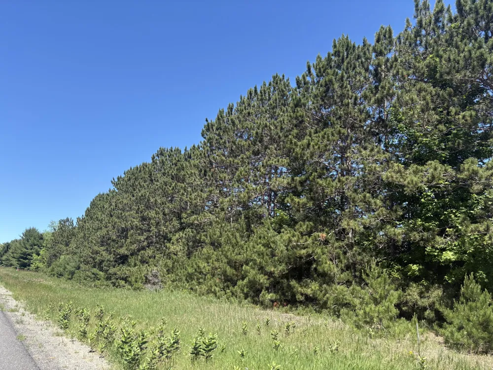 791 Butwell Road Bear Lake, MI 49614