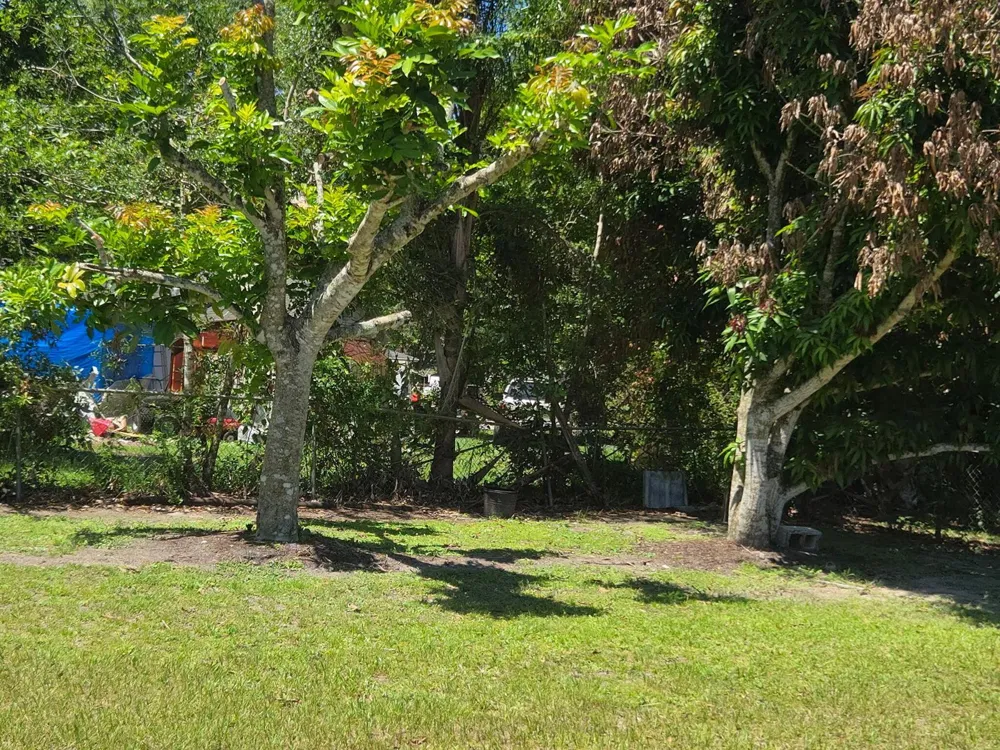 3101 Hibiscus Avenue Fort Pierce, FL 34947