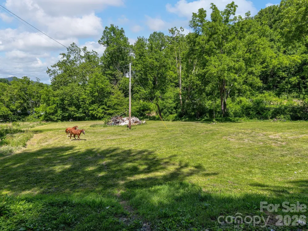 181 Harley Davidson Drive Canton, NC 28716