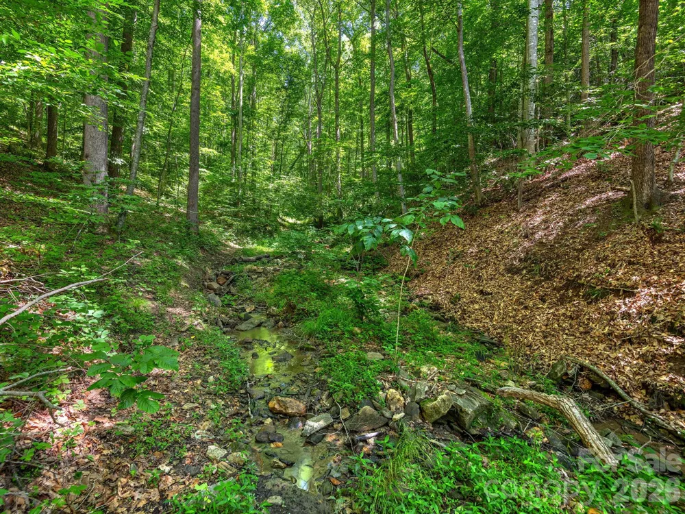 181 Harley Davidson Drive Canton, NC 28716