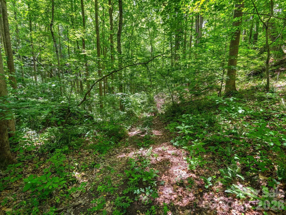 181 Harley Davidson Drive Canton, NC 28716
