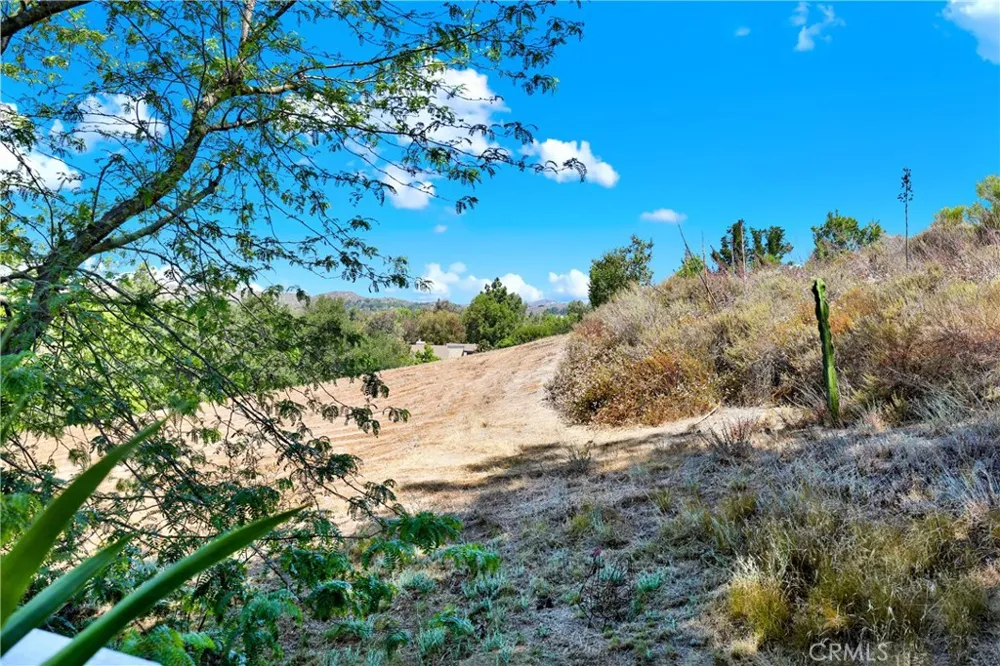 31991 VIA PAVO REAL Coto de Caza, CA 92679