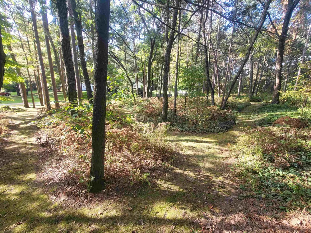 6753 Roanoak Drive Oscoda Charter Township, MI 48750