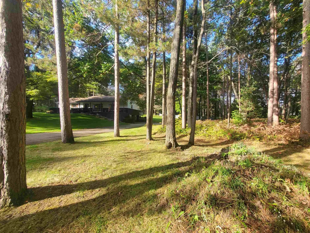 6753 Roanoak Drive Oscoda Charter Township, MI 48750