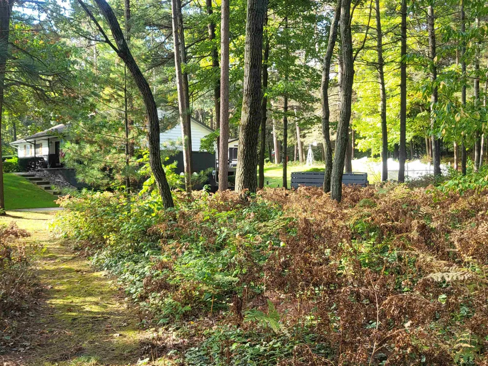 6753 Roanoak Drive Oscoda Charter Township, MI 48750