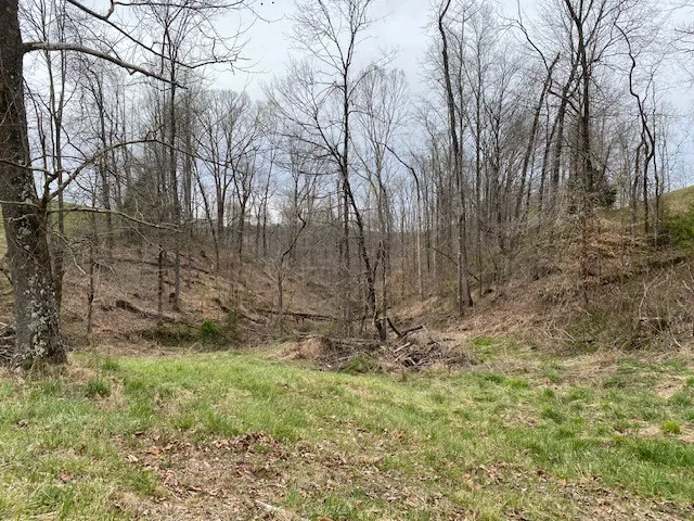 0 Sunset Dr Smithville, TN 37166