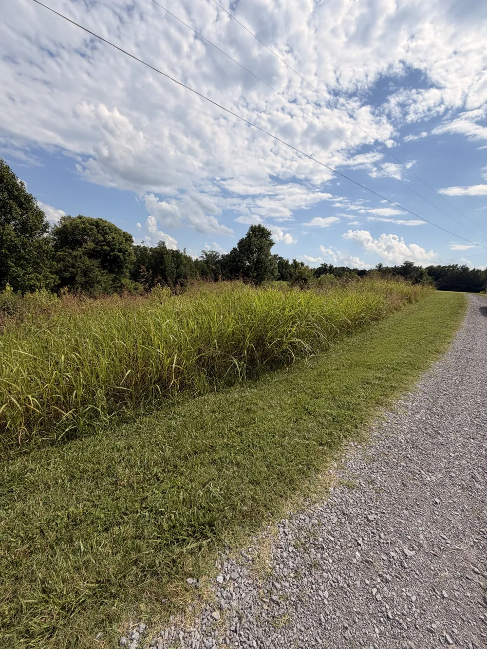 0 Sunset Dr Smithville, TN 37166