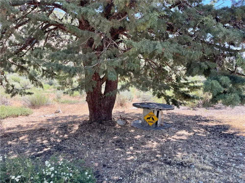 940 Hemming Way Frazier Park, CA 93225
