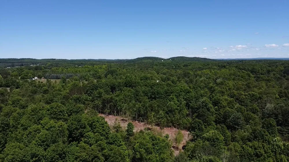 567 Norconk Road Bear Lake, MI 49614