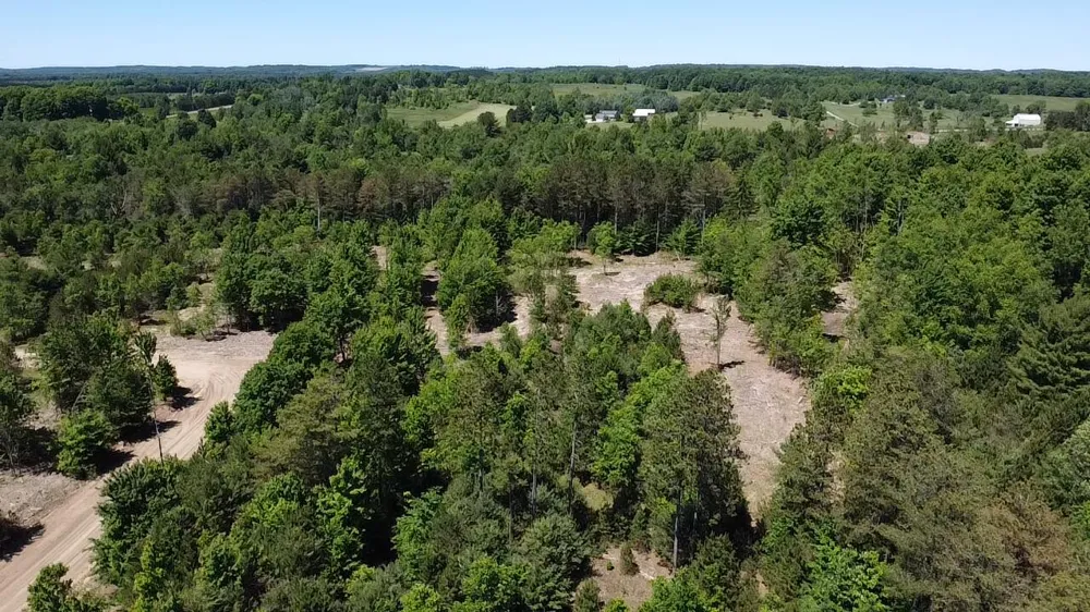 567 Norconk Road Bear Lake, MI 49614