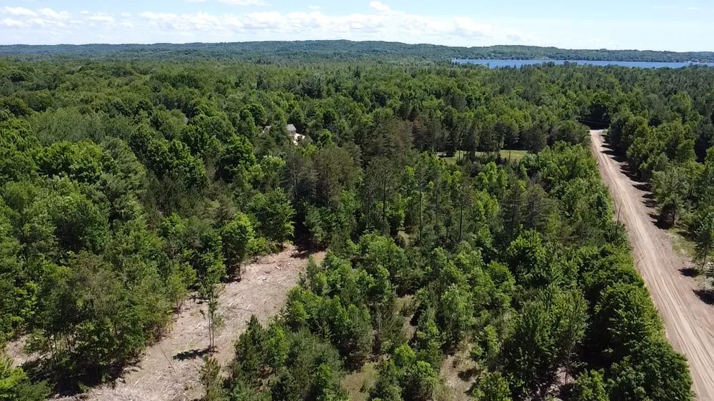 567 Norconk Road Bear Lake, MI 49614