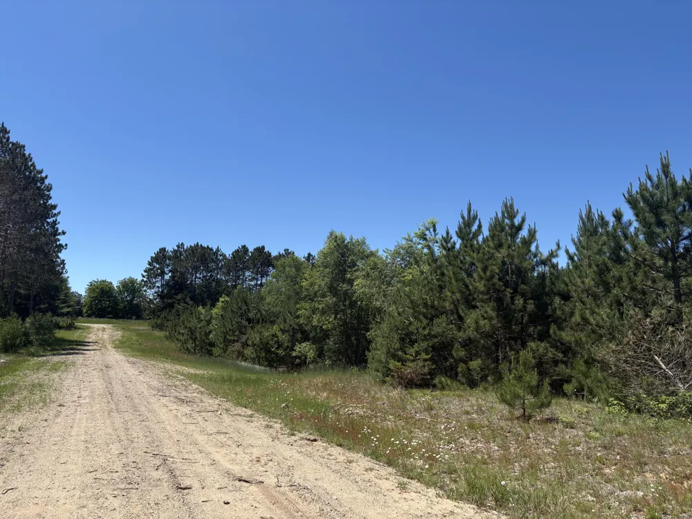 567 Norconk Road Bear Lake, MI 49614