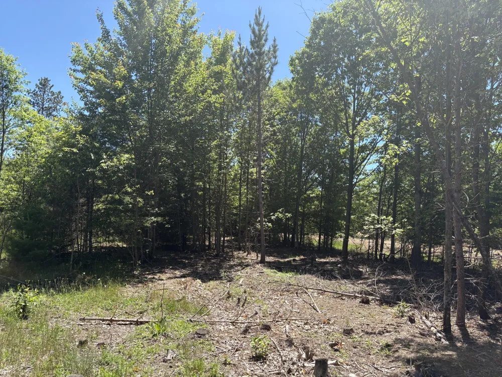 567 Norconk Road Bear Lake, MI 49614