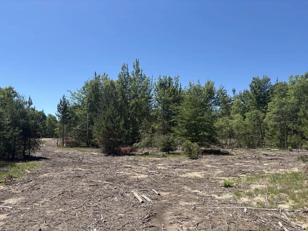 567 Norconk Road Bear Lake, MI 49614