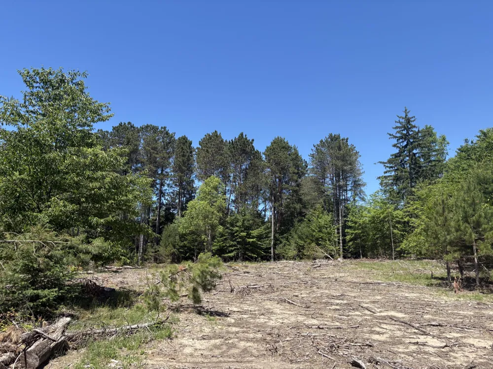 567 Norconk Road Bear Lake, MI 49614