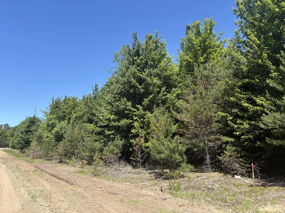 567 Norconk Road Bear Lake, MI 49614