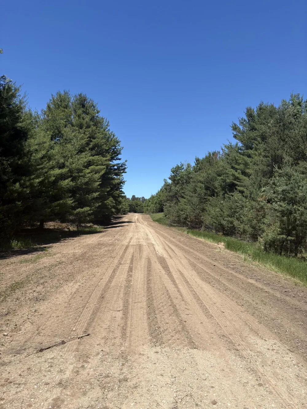 567 Norconk Road Bear Lake, MI 49614